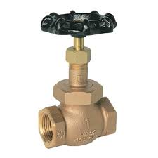 Globe Valve 1039 PN 321 Inc - Alibhai Shariff Direct