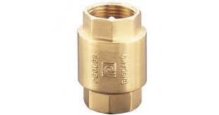 Pegler Non Return Valve 1062 0.5 Inc - Alibhai Shariff Direct