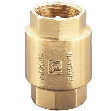 Pegler Spring Non Return Valve 1063 0.75Inc - Alibhai Shariff Direct