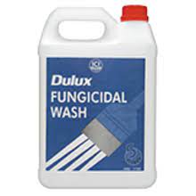 Plascon 20lts Fungicidal Wash - Alibhai Shariff Direct